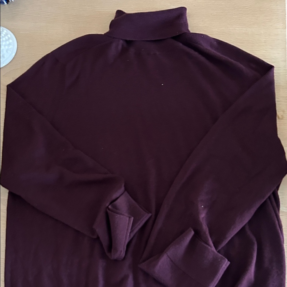 Express Deep Burgundy Turtleneck Sweater XL